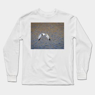 Seagull and its Shadow by Debra Martz Long Sleeve T-Shirt